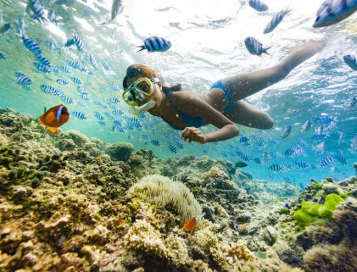 Marine Park Groups Trip